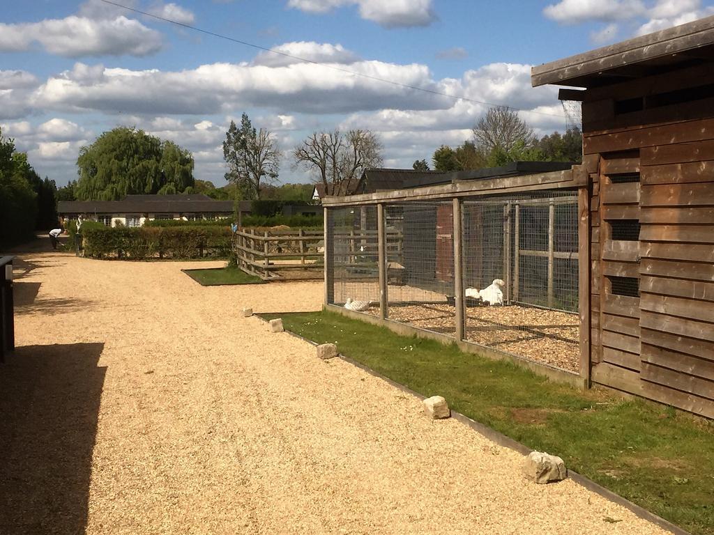 Willow Court Farm Studio West & Petting Farm, 8 Mins To Legoland & Windsor, 15 Mins To Lapland Uk Villa Екстериор снимка